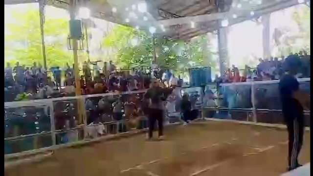 Gilmore  x hiaction wins nov 2,2024