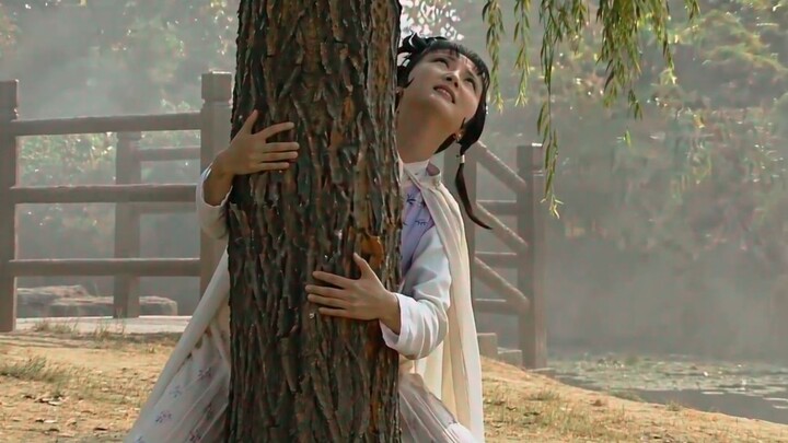 Lin Daiyu Uproots the Weeping Willow
