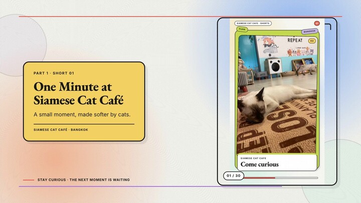 Siamese Cat Café #01 — One Minute at Siamese Cat Café + POV You Walk Into a Cat Café