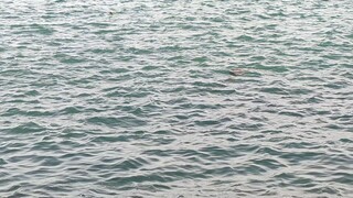 Churning of the Sea