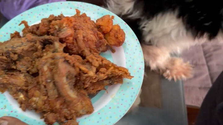 Trying out secondhand fried chicken