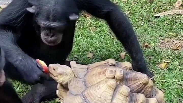 Ini kan lagi ngebenerin kendaraan si dia, ya?