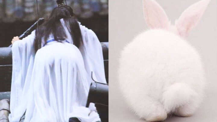 【Xiao Zhan】Rabbit meal replacement, missing rabbit makes me sick