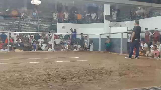 6combo finaMCA.Lose