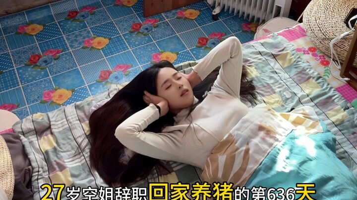 Dẫn mọi người cùng xem ở vùng rừng Đông Bắc, khi nhiệt độ xuống âm 40 độ, các “bé lông” được giữ ấm 