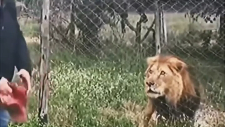 แม้จะเป็นการให้อาหารเหมือนกัน แต่กลับมีความแตกต่างอย่างมาก