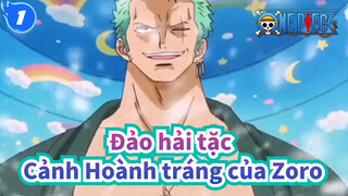 [Đảo hải tặc] Cảnh Hoành tráng của Zoro_1