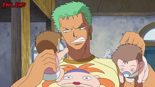 Zoro Jadi Babysitter