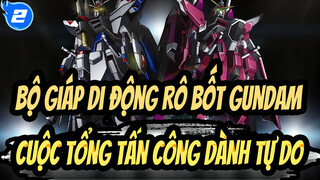 [Bộ giáp di động Rô bốt Gundam] Mở đầu cuộc tổng tấn công dành tự do - Vestige_2