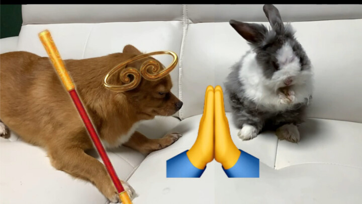 การมาถึงของฉางเอ๋อทำให้เทศกาลไหว้พระจันทร์ปีนี้เต็มไปด้วยเสียงกรีดร้องสยองขวัญ!