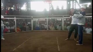 3wins