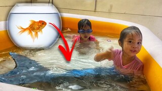 บริ้งค์ไบรท์ | ใช้ชีวิตเป็นนางเงือก 24 ชั่วโมง กินสาหร่าย คุยกับงู ให้ปลาทองกัดหาง