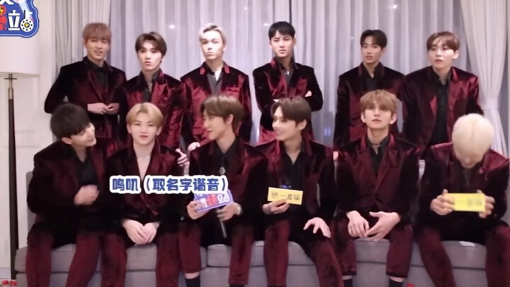 SEVENTEEN | Fans Guess the Chinese Nicknames for Each Member!