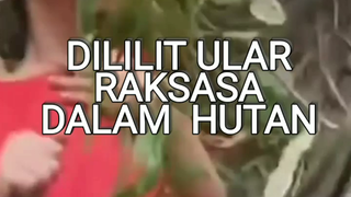 #Seorang Anak #Dililit Utang #Yang Benar dililit Ular #Didalam Hutan