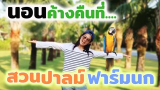 VLOG : นอนค้างคืนที่สวนปาล์มฟาร์มนก สนุกสุดๆ