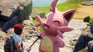 This is my missile cat, please be informed.