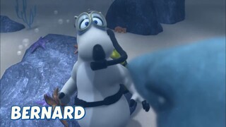 BERNARD BEAR || DIVING SCUBA - CARTOON CHILDREN