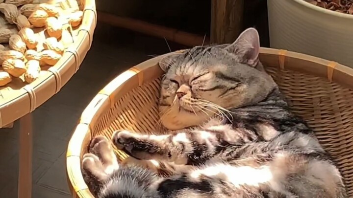 “Di dunia pengap dan lembap ini, aku hanya ingin benar-benar tersinari matahari”