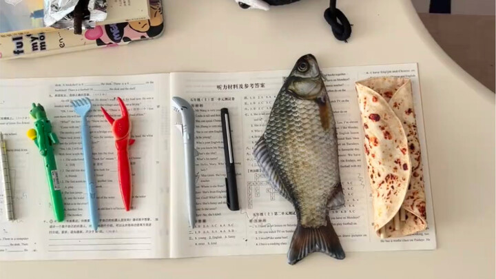 Watch till the end—there’s bound to be a pen that’ll make you fall in love with studying, hahaha!