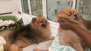 นุ่นแม่บ้านตั๊กแตน นวดให้ ยาใจ ลูกสาวคนเล็กพี่แตน