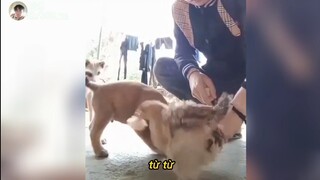 Một Chiếc Video Đầy Bất Lực | KTLN 365