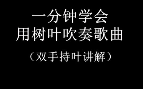 Beginner’s Guide to Leaf Blowing, Traditional Yidi Teaching