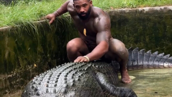 Ayo rasakan aura reptil terbesar di dunia!