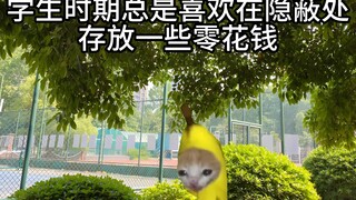 The Disappearing Pocket Money