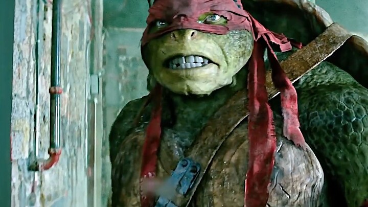 Gadis kecil melepaskan empat kura-kura kecil, siapa sangka setelah tumbuh dewasa mereka menjaga perd