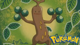 Pokémon Tập 164: Usokkie Ở Đâu!? (Lồng Tiếng)