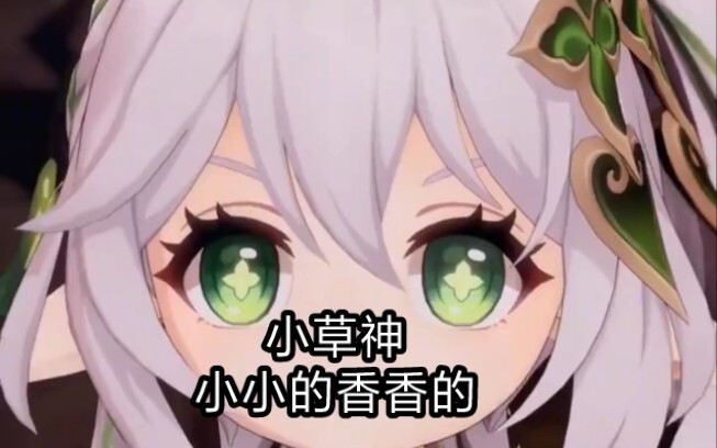 纳西妲小小的，香香的！