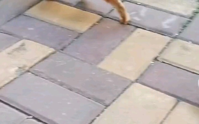 Aku sendiri juga nggak tahu kenapa aku begitu keras kepala, terus berjuang lagi dan lagi, terus bert