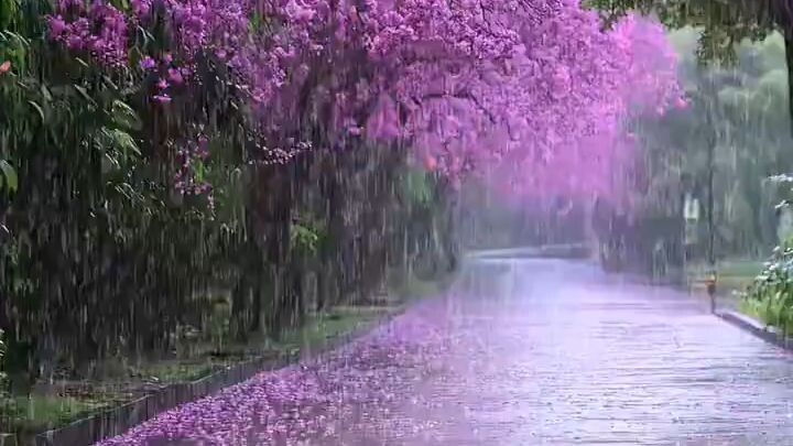 Happy weekend