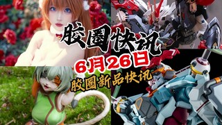 【6月26日胶圈快讯】