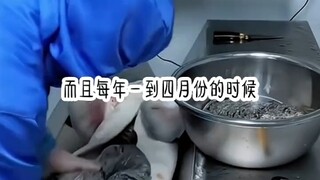 你们发现了没？