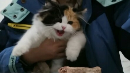 A stranger gave me candy! My real parents!