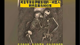 当代网友的破防瞬间