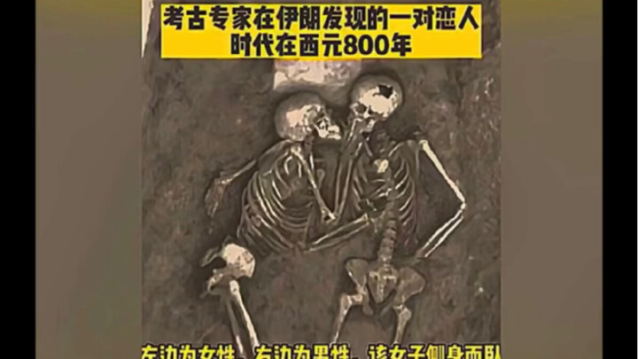 当代网友的破防瞬间