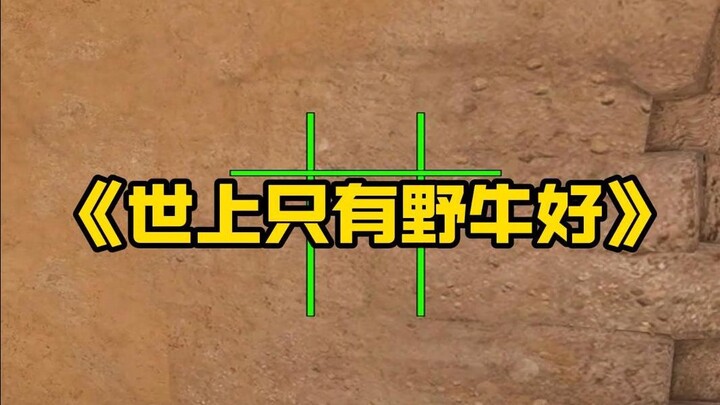 🎵“บนโลกนี้มีแต่ควายป่าที่ดี”🎵
