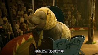 大象生了会飞小象宝宝，大家却把他当成怪物《小飞象》