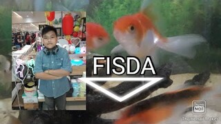 NEW FISHIES IN OUR AQUARIUM | | Anbie Tv