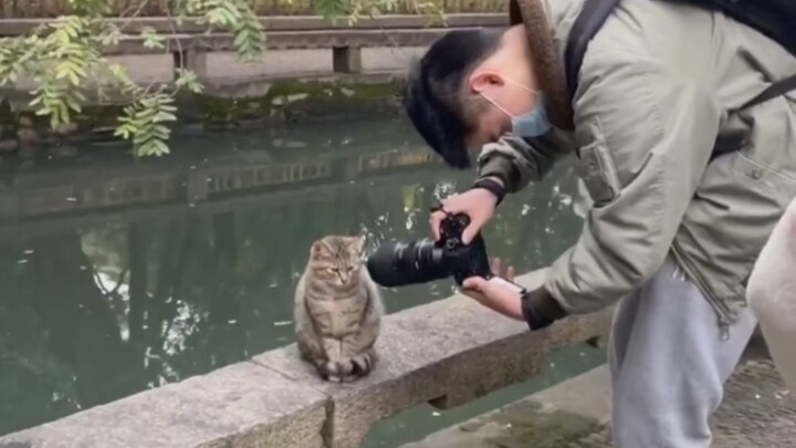 แมว: มนุษย์เป็นศัตรูพืช!