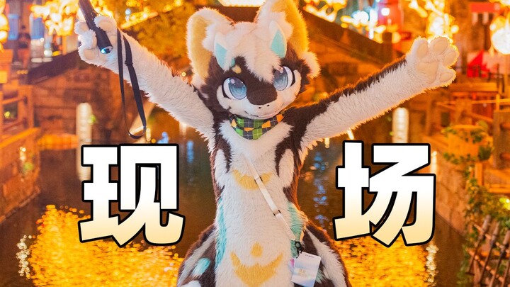 Invited to the Creator Conference?