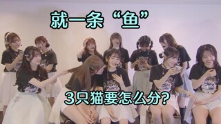没想到Yabu你这浓眉大眼的家伙也叛变了猫组