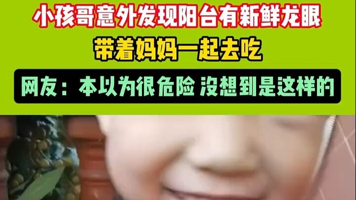 A young boy unexpectedly discovered fresh longans on the balcony and took his mom out to enjoy them.