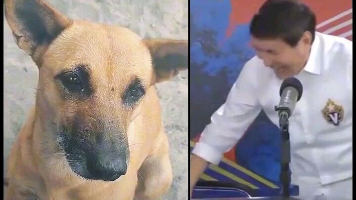 wow napakatalinong pets jaja🤣🤣🤣🤣😂😂😂😂
