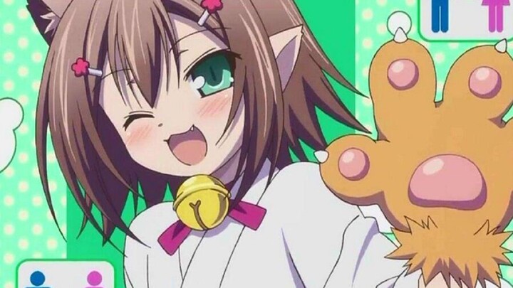 Bocah yang benar-benar lucu? Apakah jenis kelamin Hideyoshi adalah Hideyoshi? Apa sebenarnya Hideyos