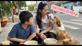 Cua Cốm nấu Bánh canh Bột Xắt nước cốt dừa| ÁNH KUA