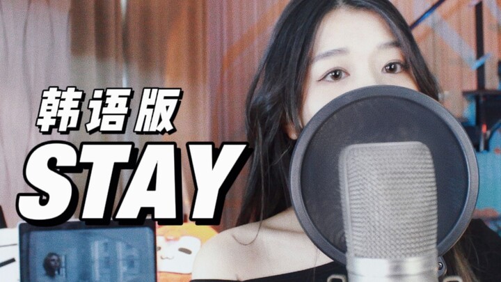 【STAY】中国人用韩文翻唱英文歌！完全不一样的STAY/Justin Biber/The kid LAROI