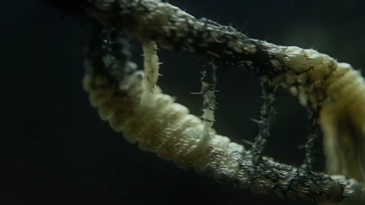 Prometheus